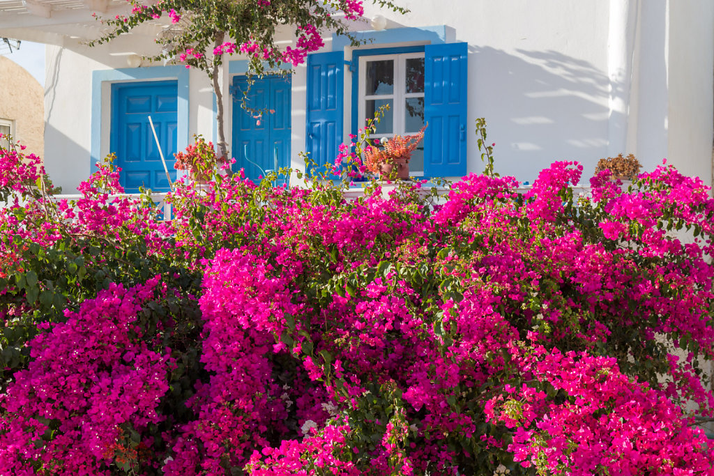 Oia