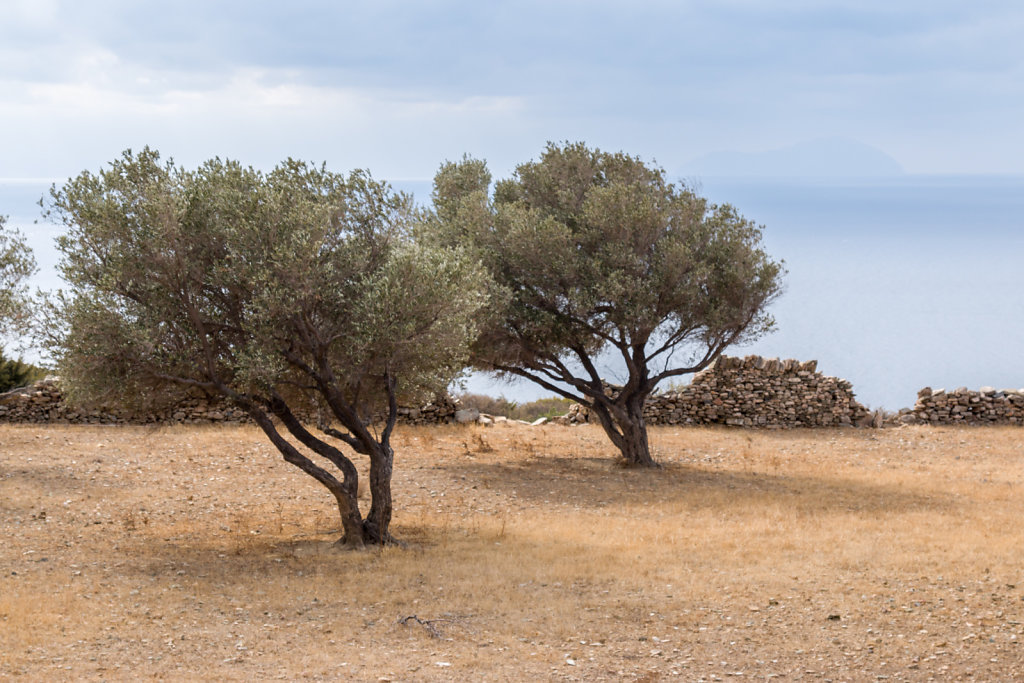 Sentier Vathy-Apollonia