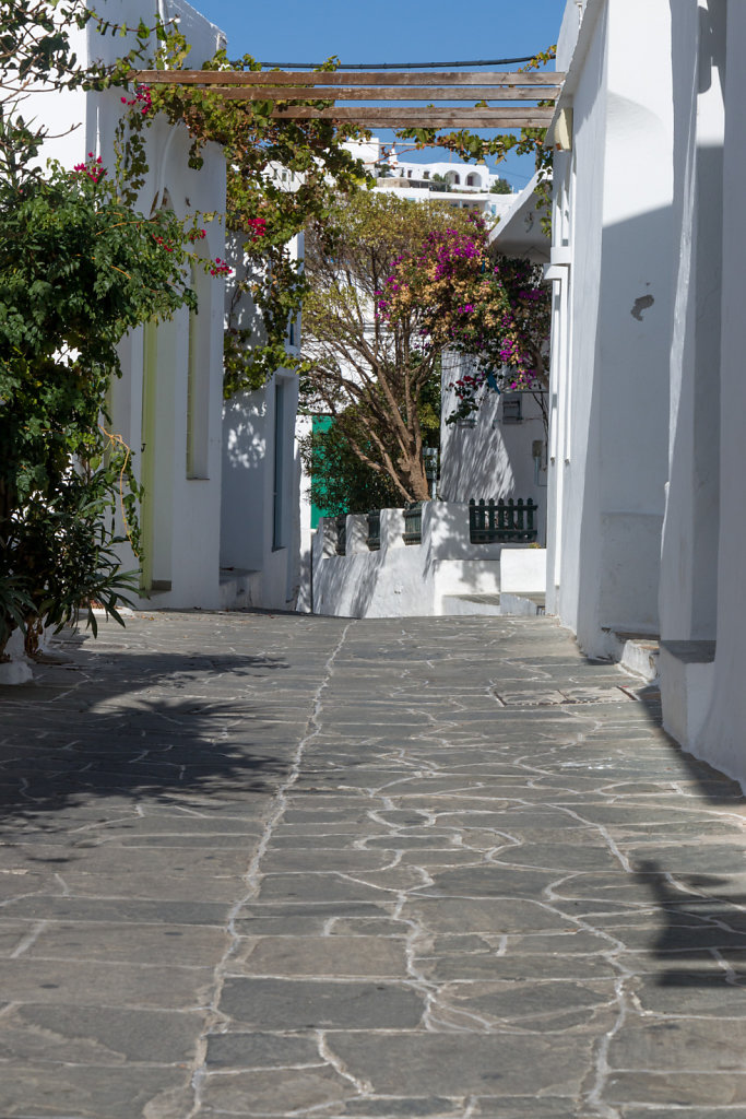 Apollonia