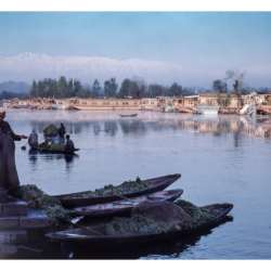 Srinagar avril 1997