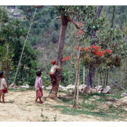 La Birmanie en 1998