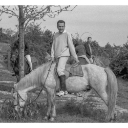 Ballade à cheval sur le plateau du Larzac