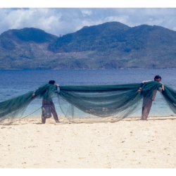 Palawan