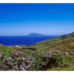 Flores - Açores