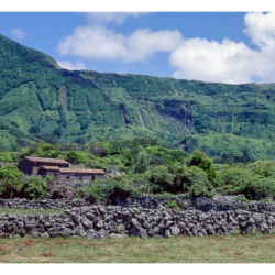 Flores - Açores