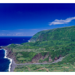 Flores - Açores