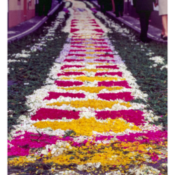 Tapis de fleur
