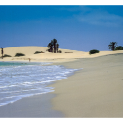 Boa Vista