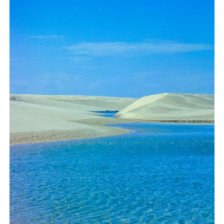 Voyage au Brésil en 2002
