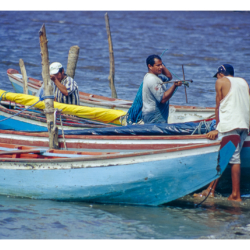Voyage au Brésil en 2002
