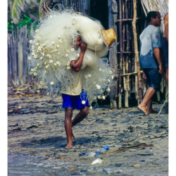 Voyage au Brésil en 2002