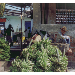 Voyage au Brésil en 2002