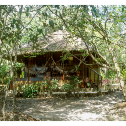 Voyage au Brésil en 2002