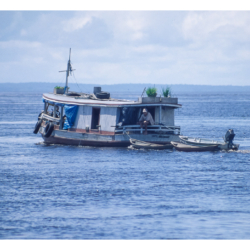 Voyage au Brésil en 2002