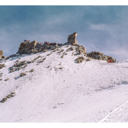 Gran Paradisio