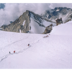 Gran Paradisio