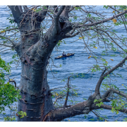  São Tomé et Principe 2004