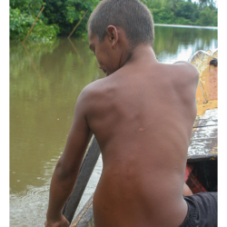 Ilha de Marajó