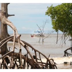 Ilha de Marajó