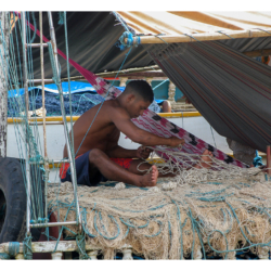 Mercado Ver-o-Peso