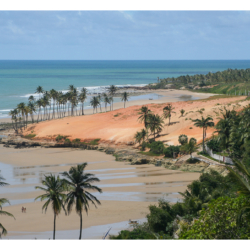 Ceará - Nordeste 2005