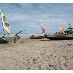 Ceará - Nordeste 2005