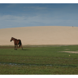 Ceará - Nordeste 2005