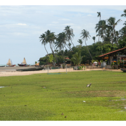 Ceará - Nordeste 2005