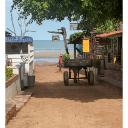 Ceará - Nordeste 2005