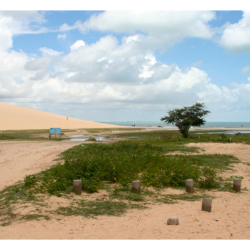 Ceará - Nordeste 2005