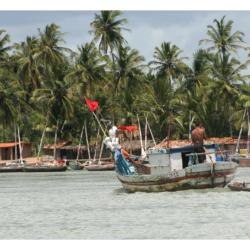 Ceará - Nordeste 2005