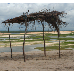 Ceará - Nordeste 2005