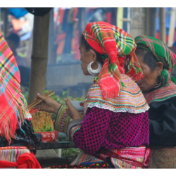 Hmong