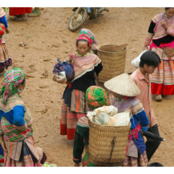 Hmong