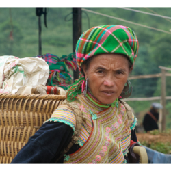 Hmong