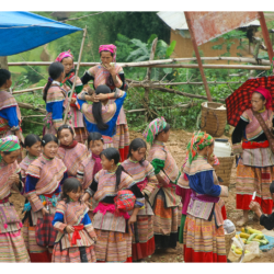 Hmong