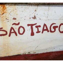 Maio