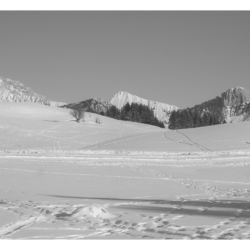 Réveillon aux plateau des Glières 2007