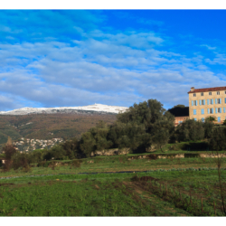 Bastide du CAT