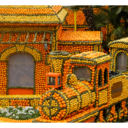 Fête des citrons