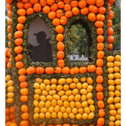 Fête des citrons