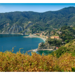 Cinque Terre