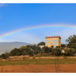 Novembre 2013