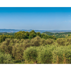 Vue de la Villa Rossignol