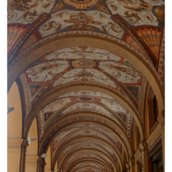 Via Luigi Carlo Farini