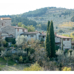 Montefioralle
