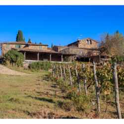 Fattoria e Villa di Rignana