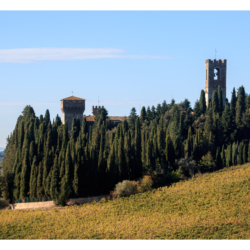 Badia A Passignano

