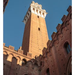 Piazza del Campo