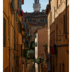 Toscane 2014
